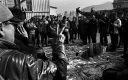 Jagalchi Market - Busan