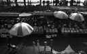 Jagalchi Market - Busan
