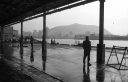 Jagalchi Market - Busan
