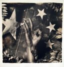 Black Bauhinia #2 art print
