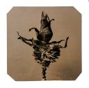 exhibition hand print of a banana flower