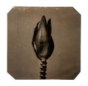 exhibition hand print of a banana flower