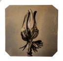 exhibition hand print of a banana flower