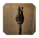 exhibition hand print of a banana flower