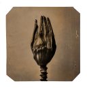 exhibition hand print of a banana flower
