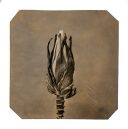 exhibition hand print of a banana flower