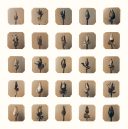 25 individually printed banana flowers on one sheet of silver gelatin paper