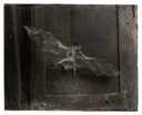 The bat that in many different beliefs represents the coming of something, whether good or bad, he is the messenger,
