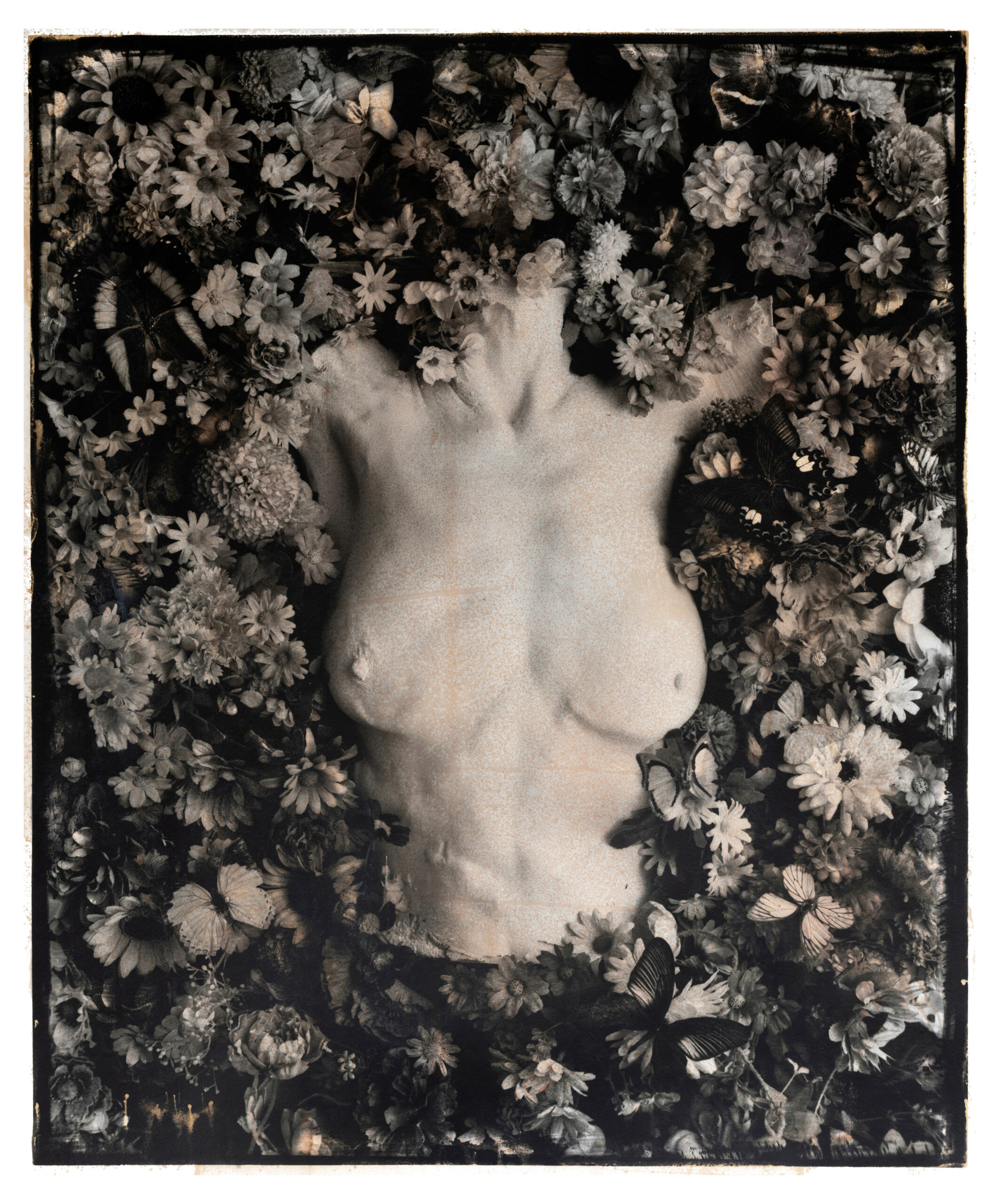 Environmental works From the series "Landfill".