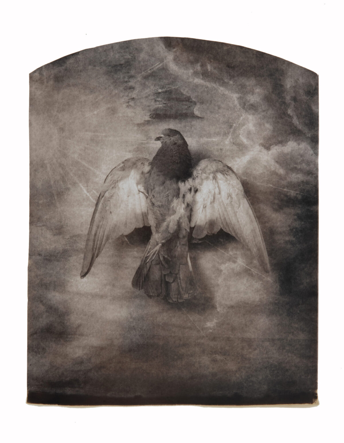 Paul Gadd logo